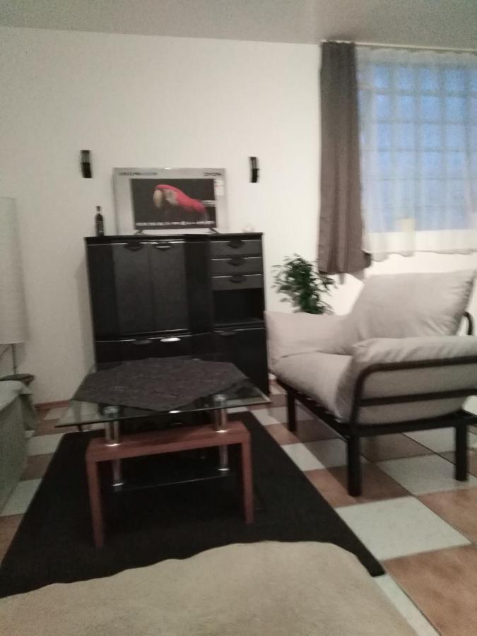 Studiowohnung, Neu Renoviert, Zentrale Lage Saarlouis Zewnętrze zdjęcie