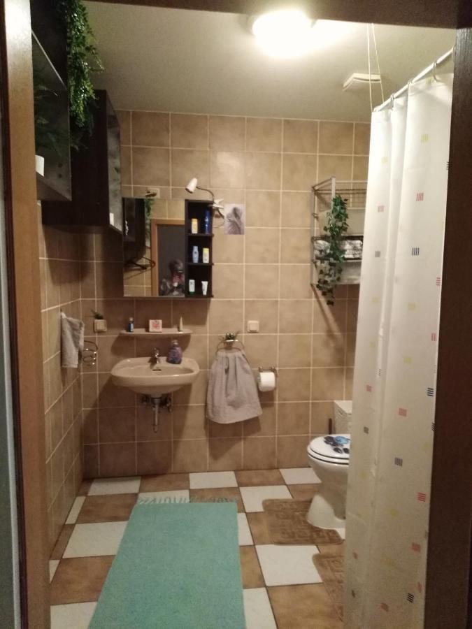 Studiowohnung, Neu Renoviert, Zentrale Lage Saarlouis Zewnętrze zdjęcie